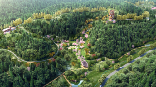 首盛国际工程监理案例：福建省南平市国家储备林质量精准提升工程