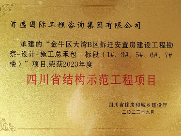 2023年四川省结构示范工程-大湾B区